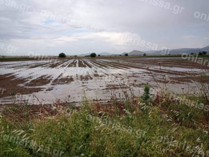 Κόκκαλης: Οι αγρότες στα Φάρσαλα καταστράφηκαν ξανά!