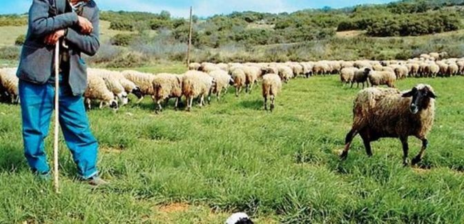 ΥΠΑΑΤ: Νέες αποφάσεις για τη στήριξη των κτηνοτρόφων