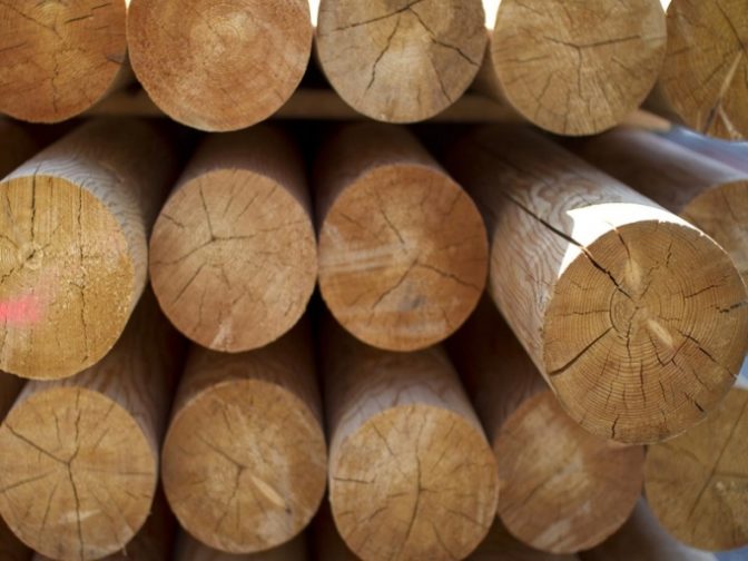 ΠΕΡΙΛΗΨΗ ΔΙΑΚΗΡΥΞΗΣ ΠΛΕΙΟΔΟΤΙΚΗΣ ΠΩΛΗΣΗΣ ΔΑΣΙΚΩΝ ΠΡΟΙΟΝΤΩΝ