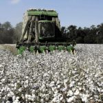 Βαμβάκι Λάρισας: Πότε απαιτείται επέμβαση