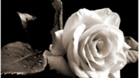 Συλλυπητήριο μήνυμα για το θάνατο του Σάκη Τσιούμα