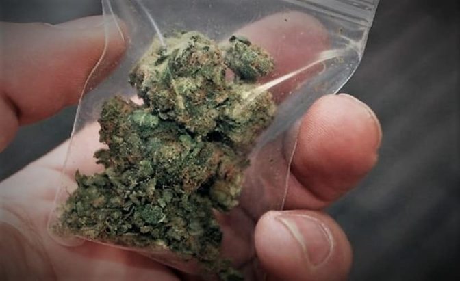 Σύλληψη Τρικαλινού με μικροποσότητα κάνναβης