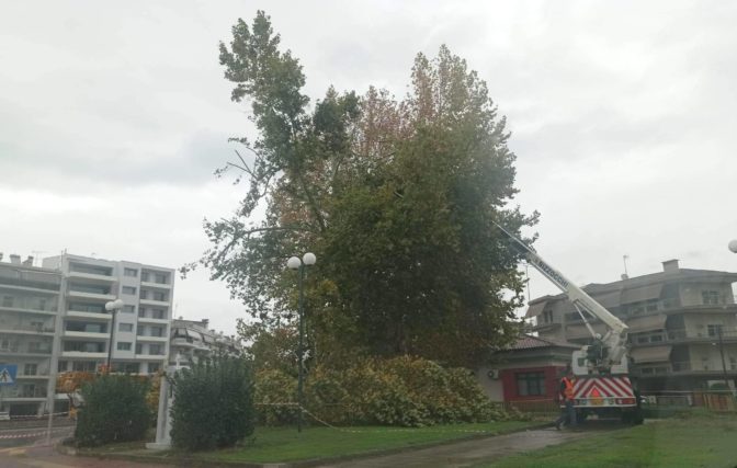 Κυριακάτικο «λίφτινγκ» στην πλατεία του ΟΣΕ στα Τρίκαλα