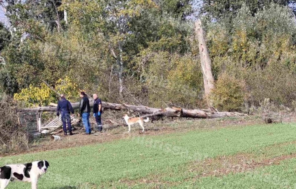 Τραγωδία... Δέντρο καταπλάκωσε γυναίκα στη Λάρισα