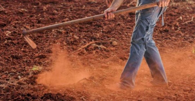 Λαρισαίος 47χρονος αγρότης έκρυβε μοναδικά αρχαία αξίας χιλιάδων ευρώ στην αυλή του