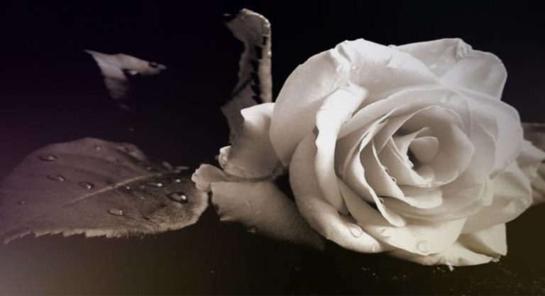 Απεβίωσε ο Νικόλαος Τζιορτζιώτης