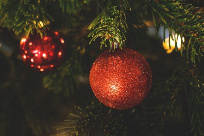 Φωταγωγείται το Χριστουγεννιάτικο δέντρο στην Πηγή