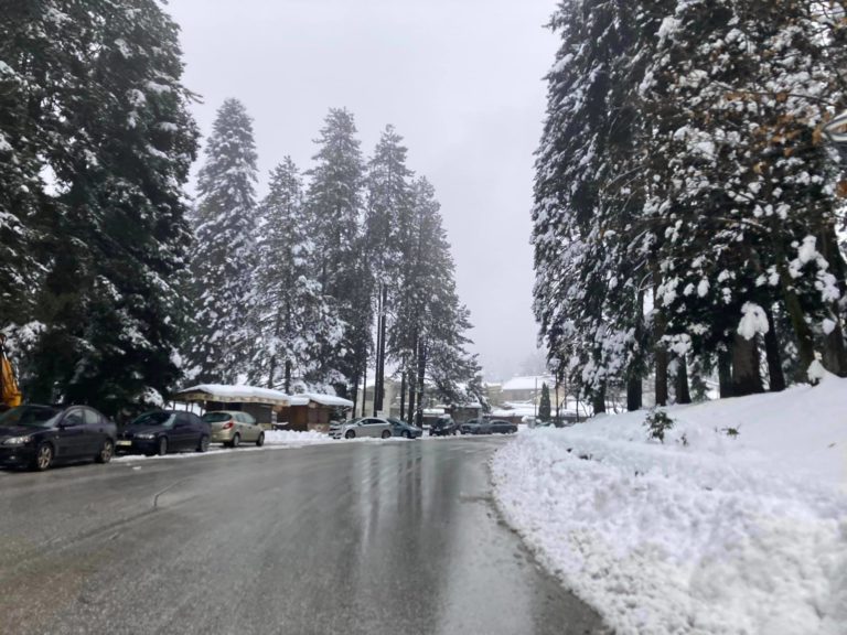 Απόβαση στα ορεινά των Τρικάλων από εκδρομείς