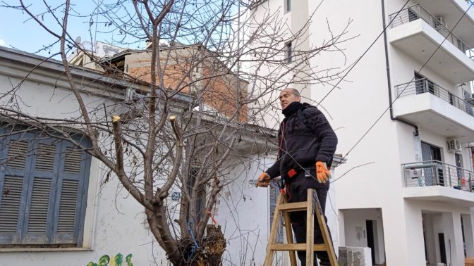 Του… κλαδέματος το ανάγνωσμα στα Τρίκαλα