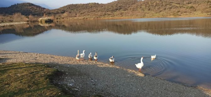 Λιμνοδεξαμενή Αγ. Βησσαρίωνα: Προβληματίζει η υποχώρηση της στάθμης (φωτο)
