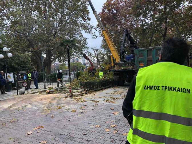 Τρίκαλα: Κλειστοί δρόμοι λόγω κλαδέματος δέντρων