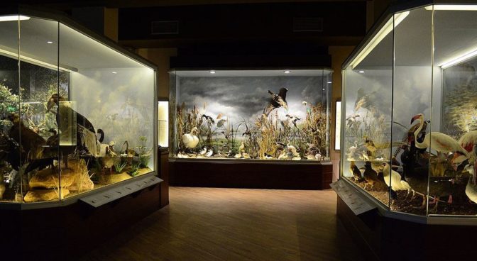 Η «Κλιάφα» χορηγεί 1.500 επισκέψεις μαθητών στο Μουσείο Φυσικής Ιστορίας Μετεώρων 