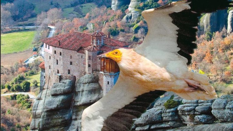 Ξεκινά πρόγραμμα καταγραφής βιοποικιλότητας στα Μετέωρα