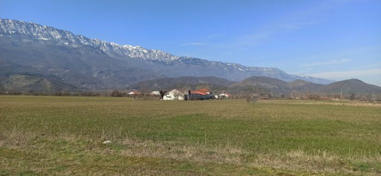 Η περίπτωση της Φιλύρας και η πονεμένη χοιροτροφία
