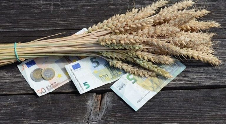 ΕΛΓΑ: Πληρώνονται αποζημιώσεις σε 35.000 παραγωγούς