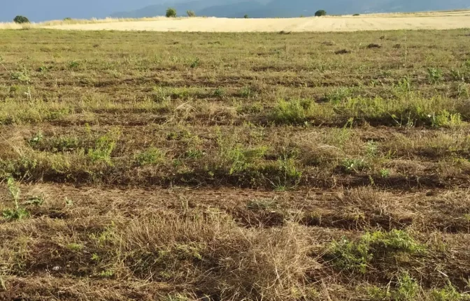 Στην Λάρισα η 8η Πανελλήνια Συνάντηση Φυτοπροστασίας