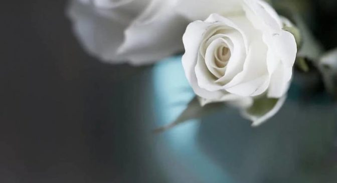 Συλλυπητήριο μήνυμα για τον θάνατο της Μαρίας Πάλλα