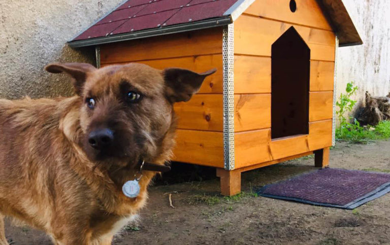 Τα funds χτύπησαν και το σπίτι του Κανέλλου στα Τρίκαλα!