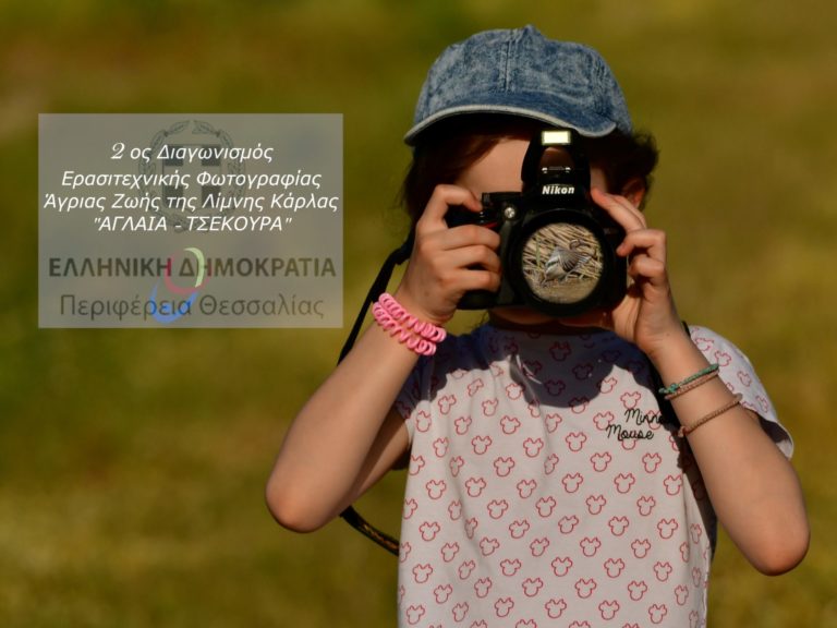 Διαγωνισμός ερασιτεχνικής φωτογραφίας άγριας ζωής της λίμνης Κάρλας