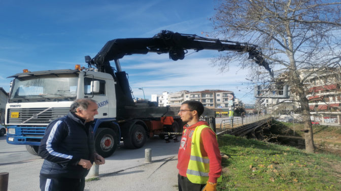 Υγεία και προστασία των δέντρων με κλαδέματα στον Ληθαίο ποταμό