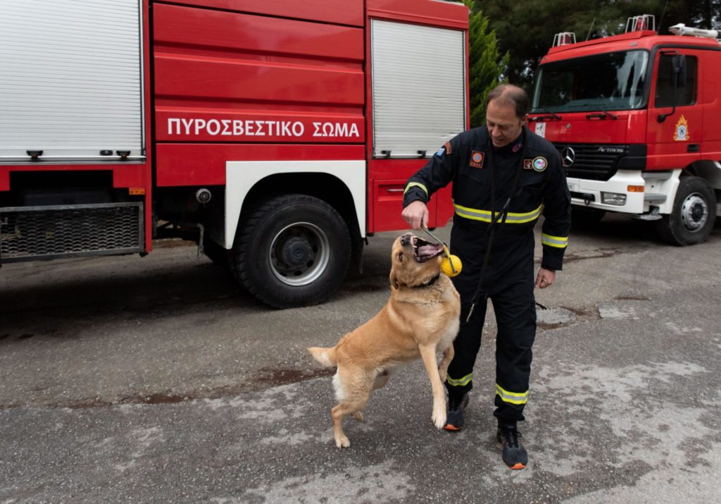 Οι τετράποδοι αφανείς ήρωες που «μυρίζουν τη ζωή» κάτω από τα συντρίμμια