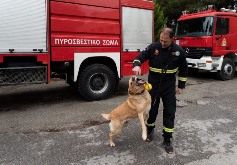 Οι τετράποδοι αφανείς ήρωες που «μυρίζουν τη ζωή» κάτω από τα συντρίμμια