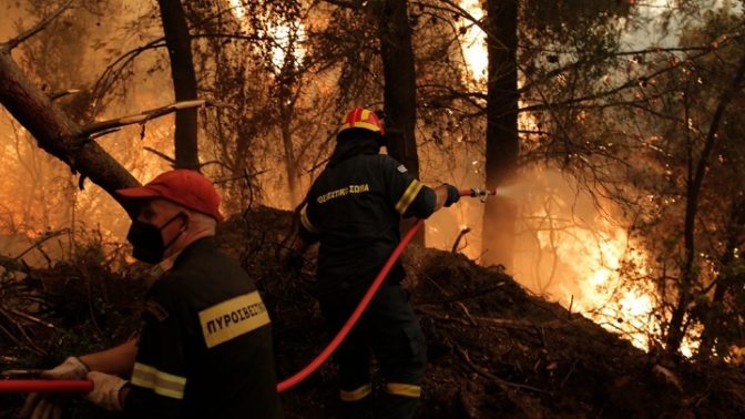 Σε πλήρη έλεγχο φωτιά που ξεκίνησε από καστανοπερίβολο στο Ομόλιο Λάρισας
