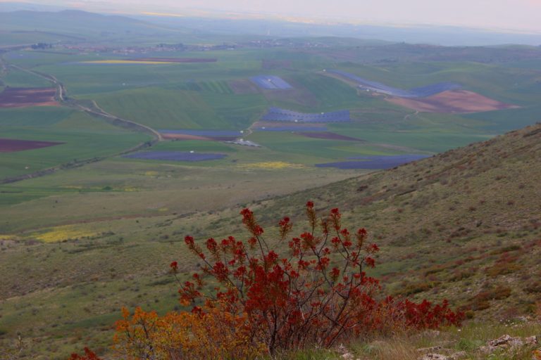 Η ανάπτυξη κάτω στον κάμπο… μας βάζει σε σκέψεις και προβληματισμούς (φωτο)