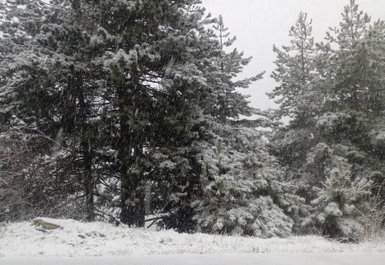 Χριστούγεννα παρά Πάσχα θυμίζει το σκηνικό στα ορεινά της Λάρισας (φωτο)