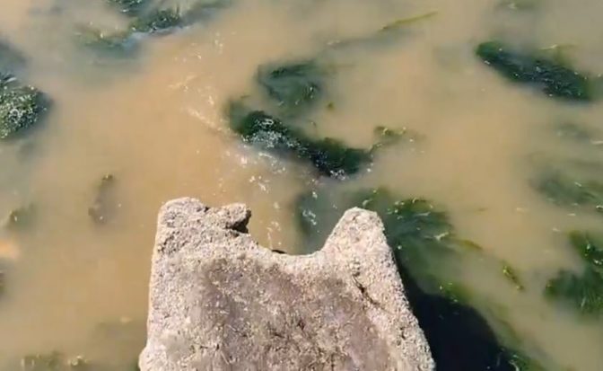 Γέμισε λύματα ο Θερμαϊκός: Σοκαριστικές εικόνες και απίστευτη δυσοσμία