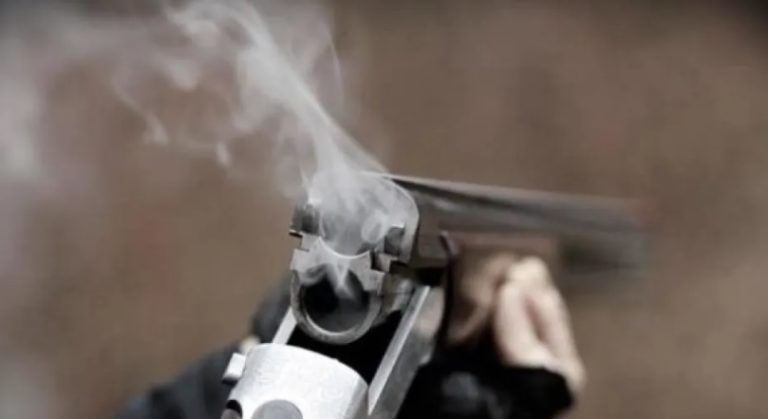 Kτηνωδία στη Λάρισα: Πυροβόλησε εξ’ επαφής αδέσποτη σκυλίτσα