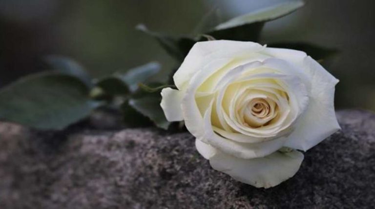 "Έφυγε" από τη ζωή η Ευαγγελία Σαρακατσιάνου