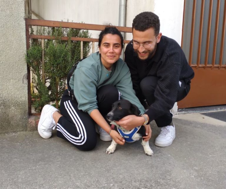 Ακόμη μια υιοθεσία από την ομάδα “Angels With Paws Meteora GR”