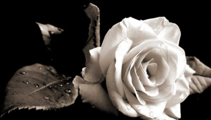 Ελασσόνα: 42χρονος πέθανε ξαφνικά από ανακοπή καρδιάς