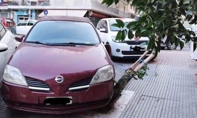 Πάρκαρε το ΙΧ του πάνω σε ...δέντρο