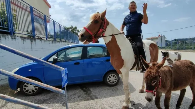 Αγρότης με... άλογο και γαϊδούρι σε εκλογικό κέντρο στο Ναύπλιο