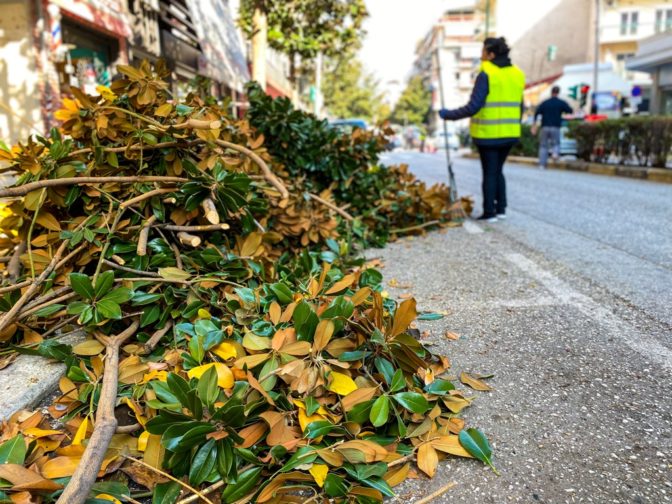 Ο Δήμος Τρικκαίων κλάδεψε 2.571 δέντρα σε 6 μήνες 