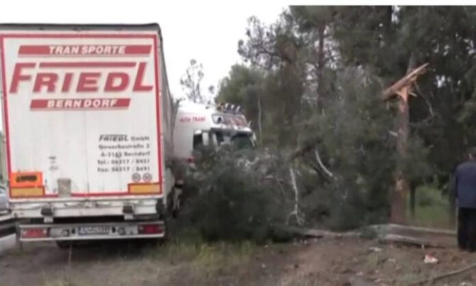 Νταλίκα «τούμπαρε» και σταμάτησε πάνω σε δέντρα