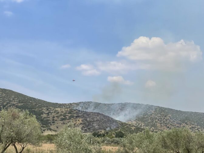 Λάρισα: Μία σύλληψη για τη φωτιά στο Κυψελοχώρι