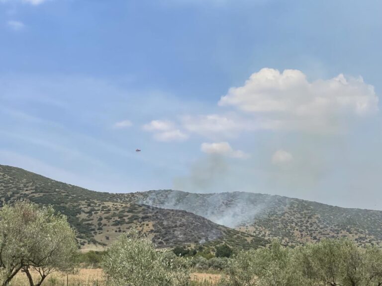 Λάρισα: Μία σύλληψη για τη φωτιά στο Κυψελοχώρι