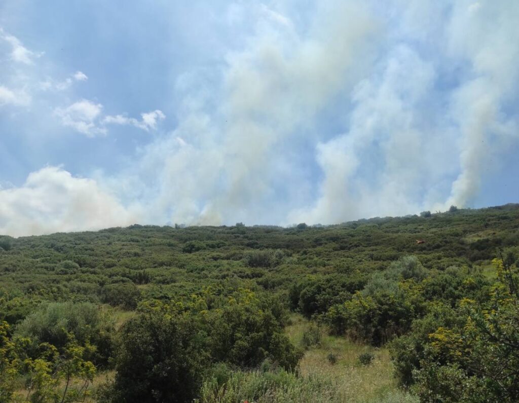 Λάρισα: Υπο μερικό έλεγχο η φωτιά στο Κυψελοχώρι – Δείτε νέο βίντεο από το σημείο