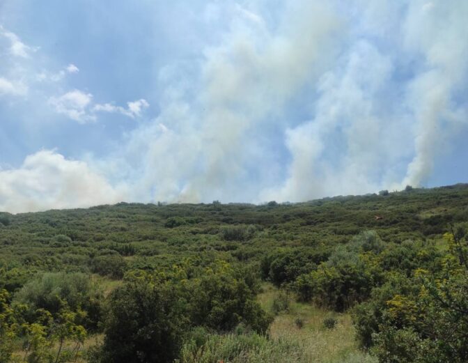 Λάρισα: Υπο μερικό έλεγχο η φωτιά στο Κυψελοχώρι – Δείτε νέο βίντεο από το σημείο