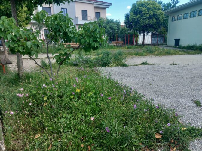 Τα χόρτα ...έπνιξαν το 25ο Δημοτικό Σχολείο στα Τρίκαλα (φωτό)