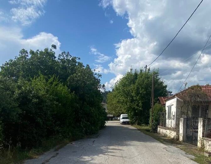 Ψάχνοντας …τον δρόμο για το σπίτι στο Ρίζωμα!