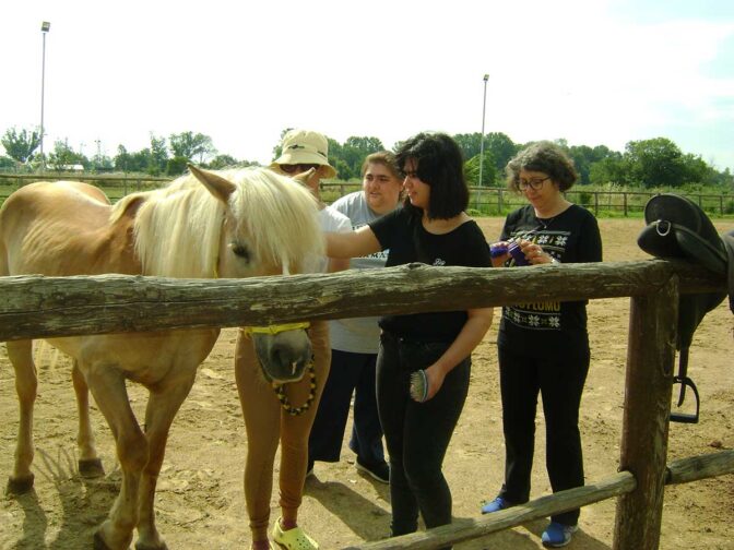 Πρόγραμμα θεραπευτικής ιππασίας υλοποιούν οι «Ορίζοντες»