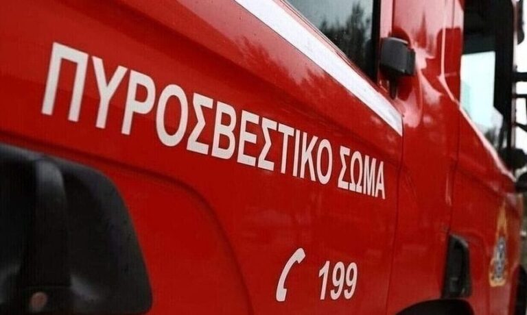 Τρίκαλα: Έσκασε το λάστιχο φορτηγού και άρπαξε φωτιά