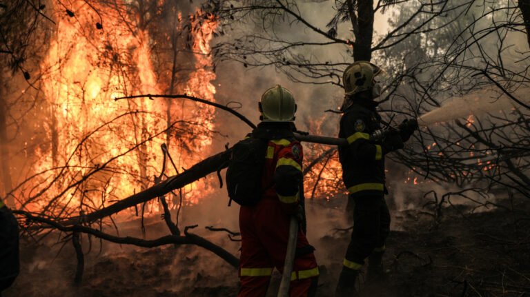Συναγερμός στην Πυροσβεστική: 67 αγροτοδασικές πυρκαγιές σε ένα 24ωρο