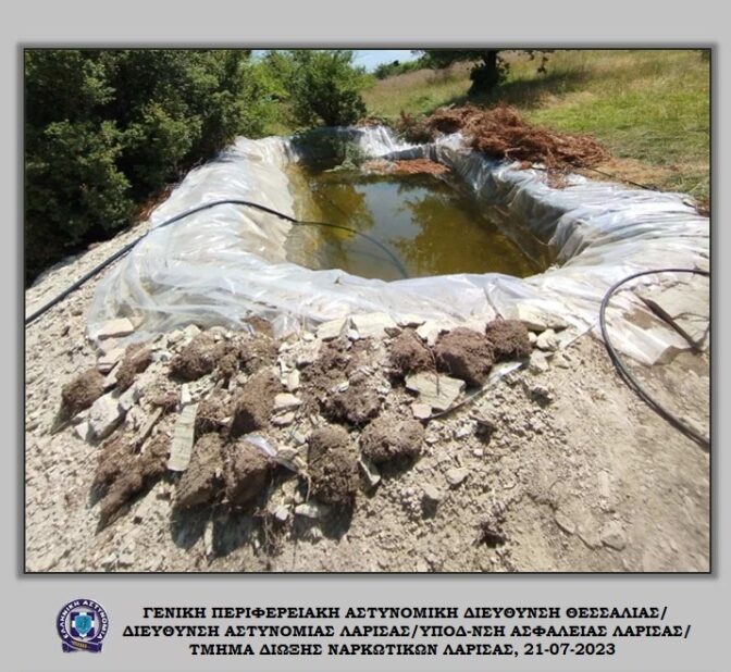 Τα ...αποκαλυπτήρια της «χρυσής» χασισοφυτείας στον Τύρναβο (φωτό - βίντεο)