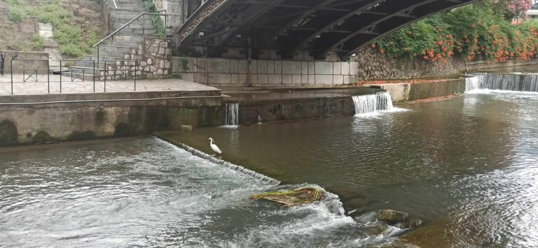 Η ομορφιά σώζει την πόλη!