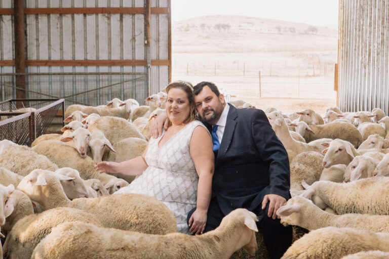 Λαρισαίοι φωτογραφήθηκαν στον γάμο τους μαζί με τα… κορίτσια τους, τις προβατίνες τους! (φωτό)